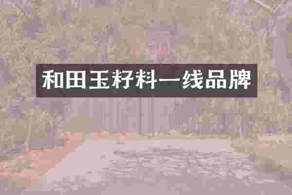 和田玉籽料一线品牌
