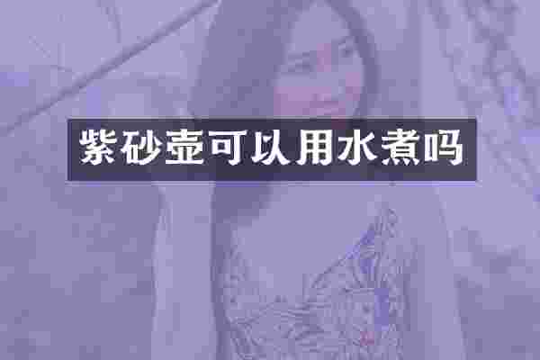 紫砂壶可以用水煮吗
