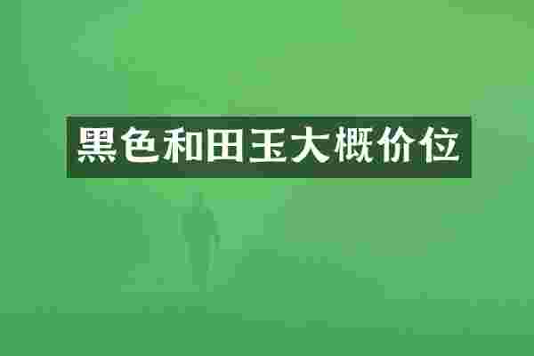黑色和田玉大概价位