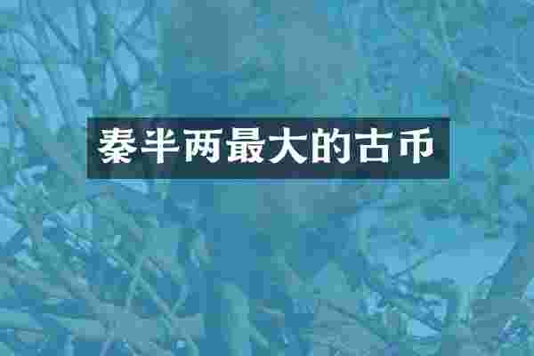 秦半两最大的古币