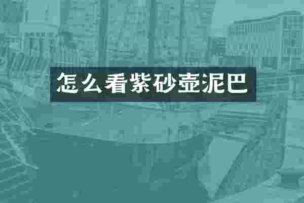 怎么看紫砂壶泥巴