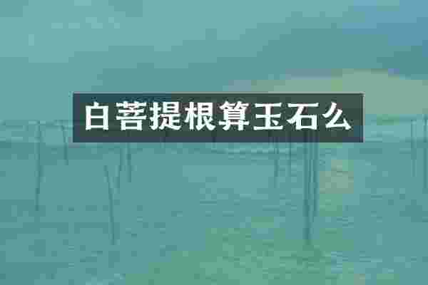 白菩提根算玉石么