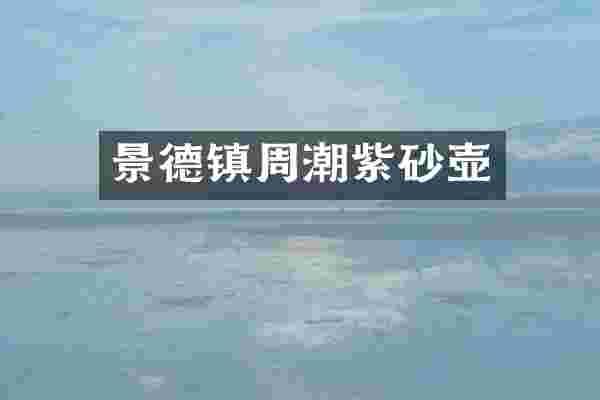 景德镇周潮紫砂壶