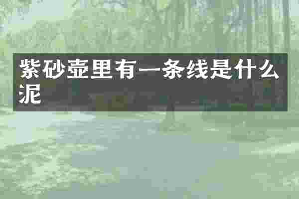 紫砂壶里有一条线是什么泥