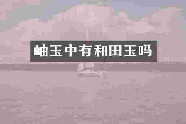 岫玉中有和田玉吗