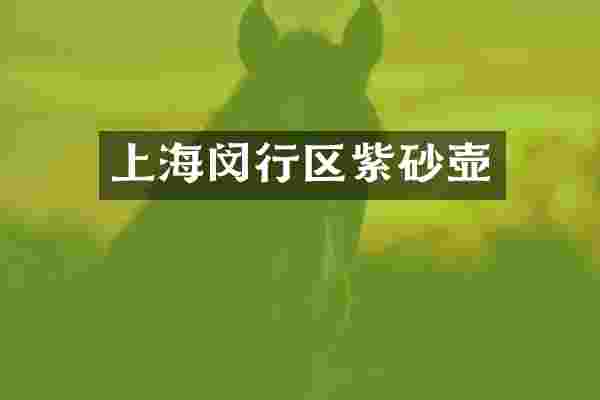 上海闵行区紫砂壶