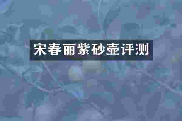 宋春丽紫砂壶评测