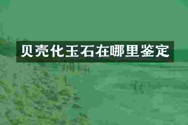 贝壳化玉石在哪里鉴定