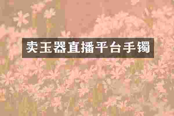 卖玉器直播平台手镯