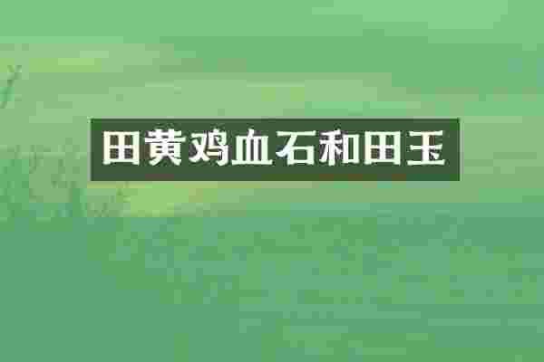 田黄鸡血石和田玉