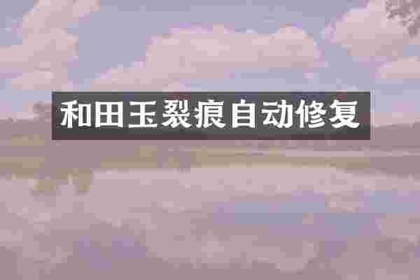 和田玉裂痕自动修复