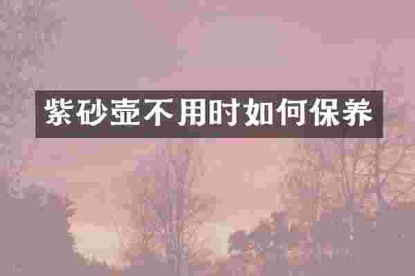 紫砂壶不用时如何保养
