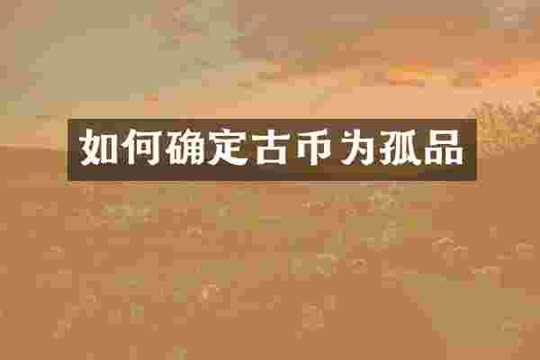 如何确定古币为孤品