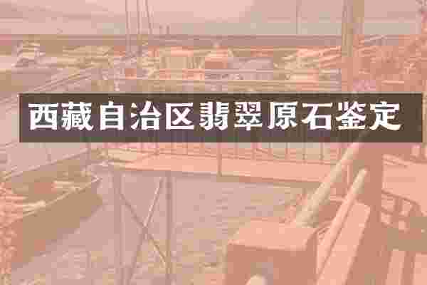 西藏自治区翡翠原石鉴定