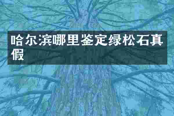 哈尔滨哪里鉴定绿松石真假