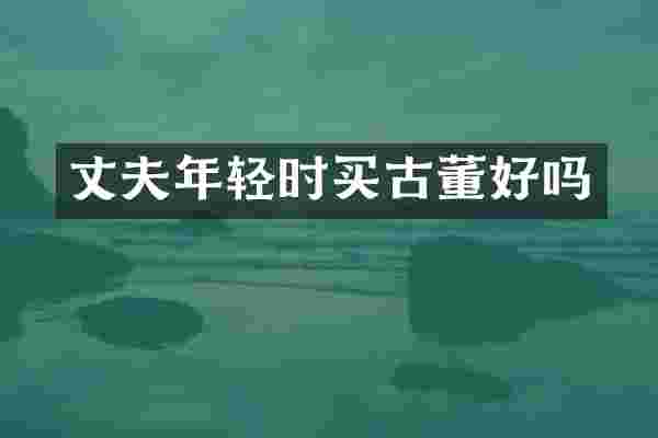 丈夫年轻时买古董好吗