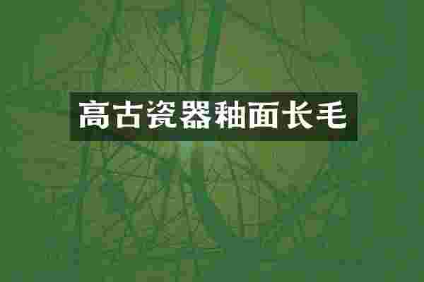 高古瓷器釉面长毛