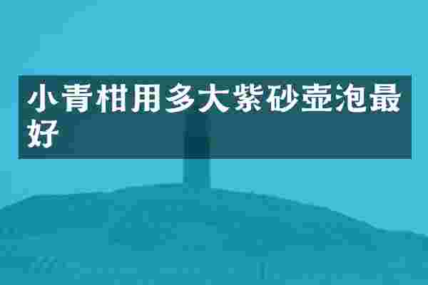 小青柑用多大紫砂壶泡最好