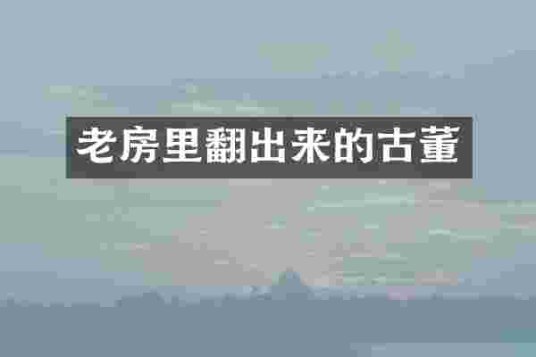 老房里翻出来的古董