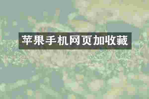 苹果手机网页加收藏