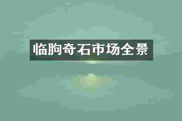 临朐奇石市场全景