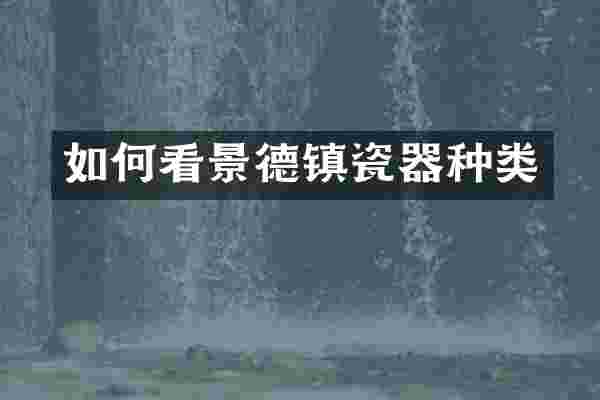 如何看景德镇瓷器种类