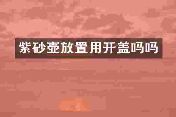 紫砂壶放置用开盖吗吗