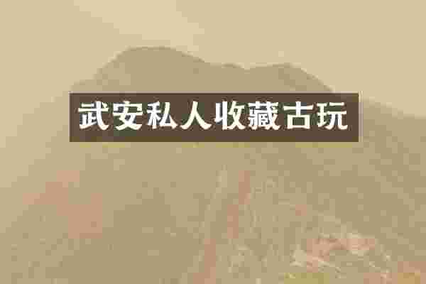 武安私人收藏古玩