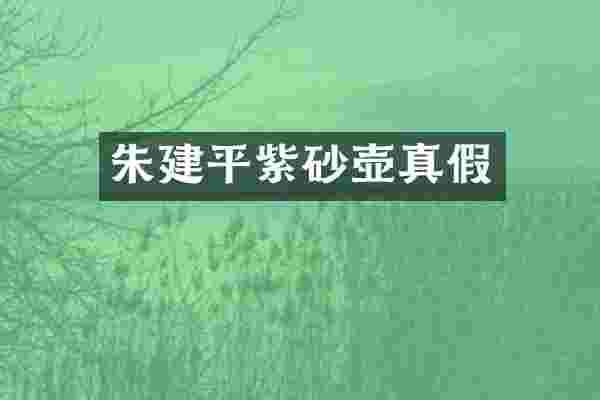 朱建平紫砂壶真假