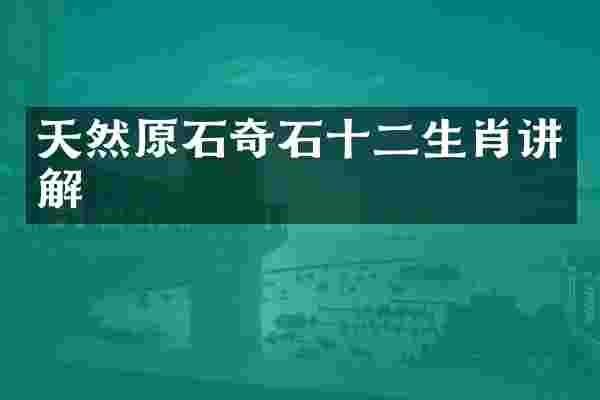 天然原石奇石十二生肖讲解