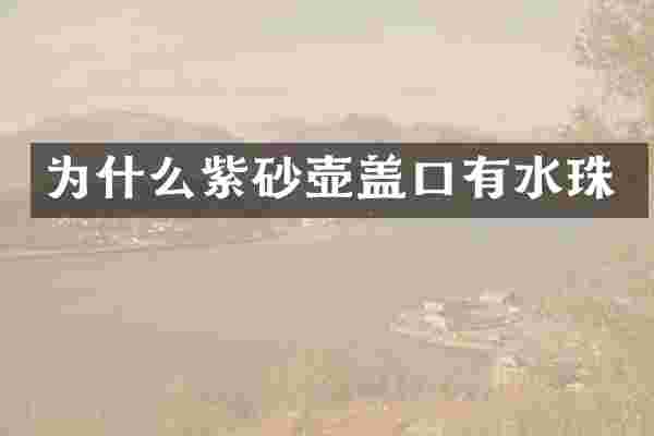 为什么紫砂壶盖口有水珠