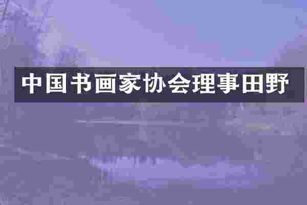中国书画家协会理事田野