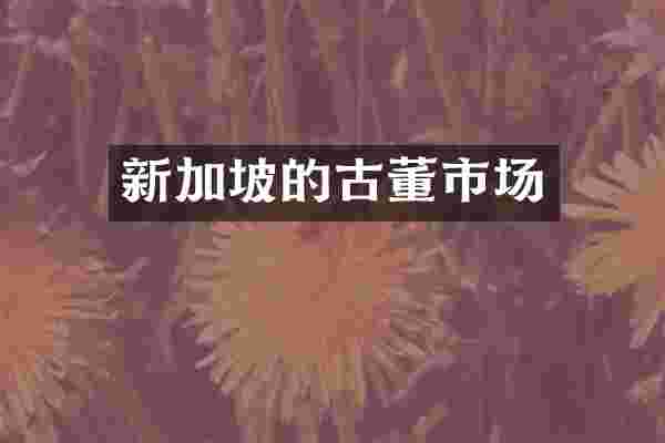 新加坡的古董市场