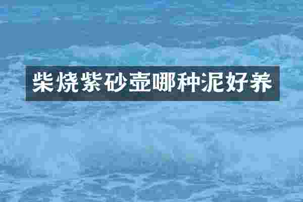 柴烧紫砂壶哪种泥好养