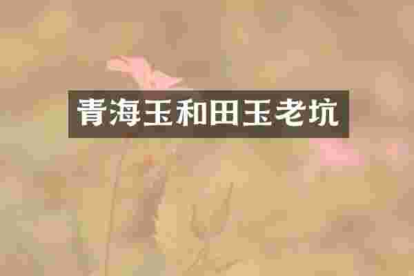 青海玉和田玉老坑