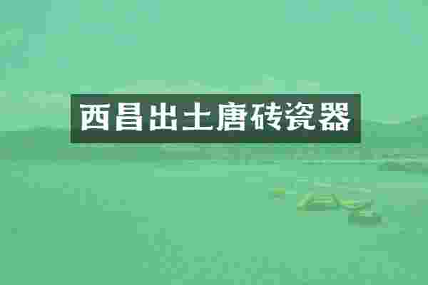 西昌出土唐砖瓷器
