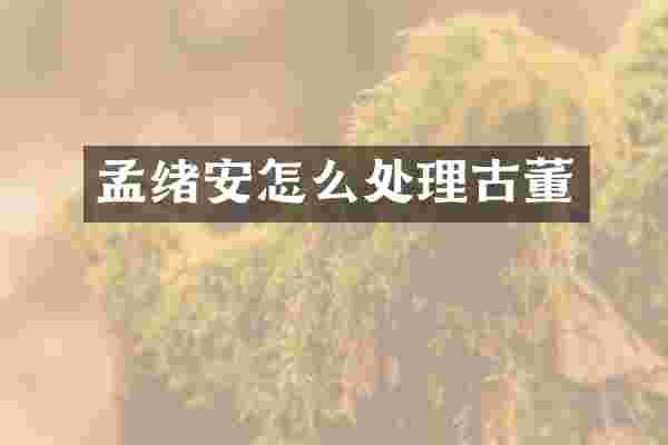 孟绪安怎么处理古董