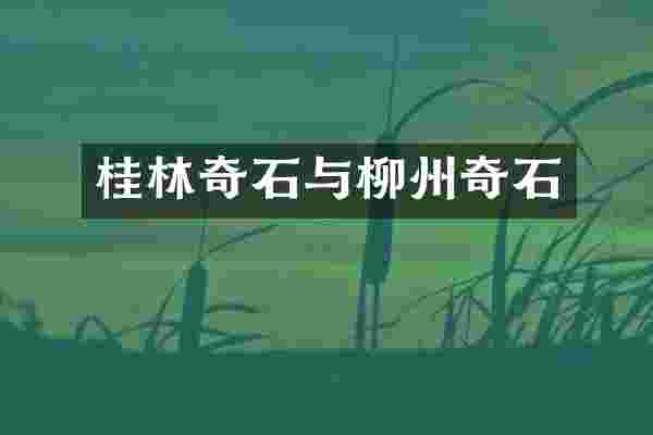 桂林奇石与柳州奇石