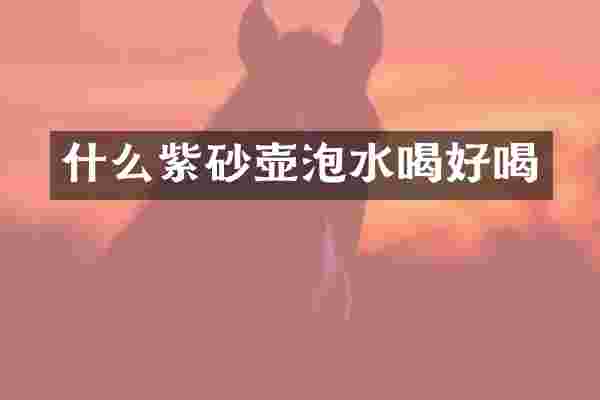 什么紫砂壶泡水喝好喝