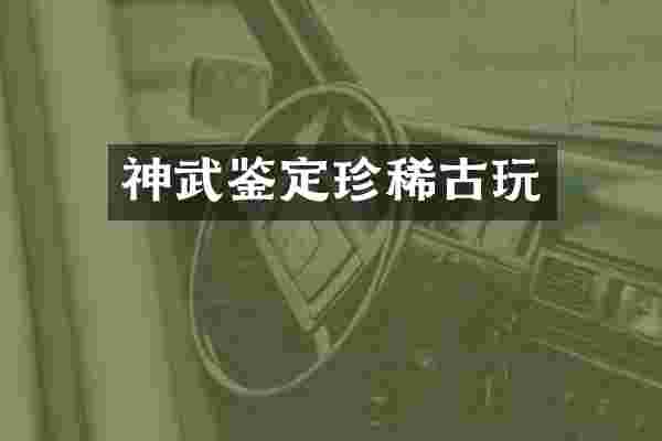 神武鉴定珍稀古玩