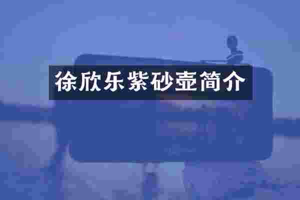 徐欣乐紫砂壶简介