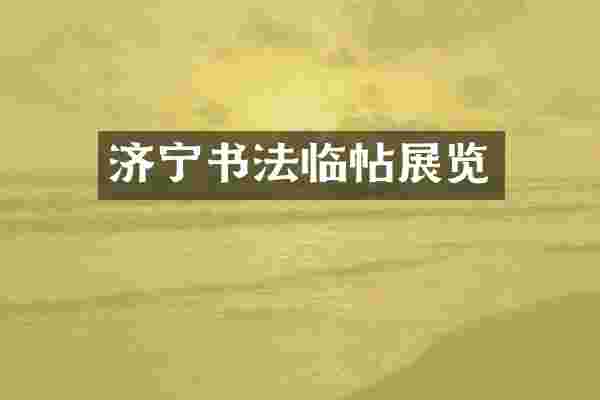 济宁书法临帖展览