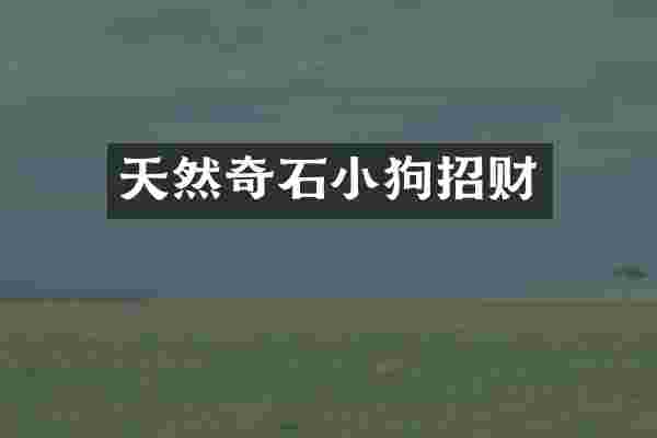 天然奇石小狗招财