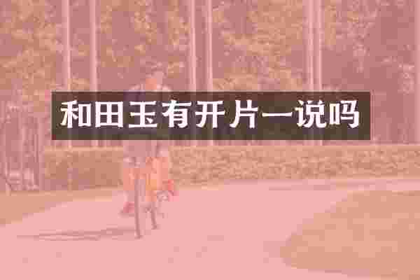 和田玉有开片一说吗