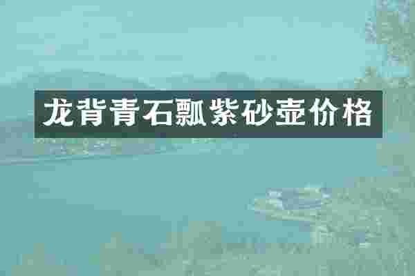 龙背青石瓢紫砂壶价格