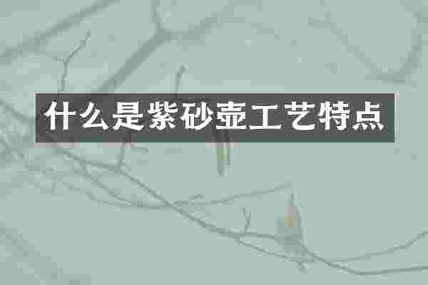 什么是紫砂壶工艺特点