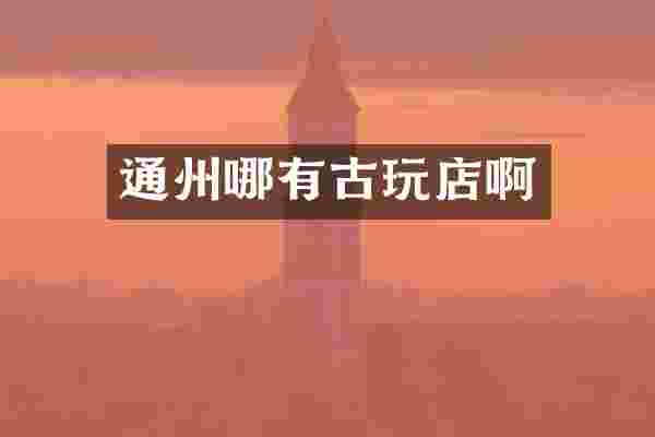 通州哪有古玩店啊