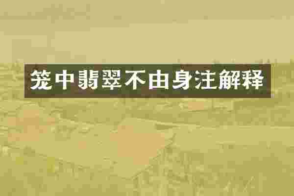 笼中翡翠不由身注解释