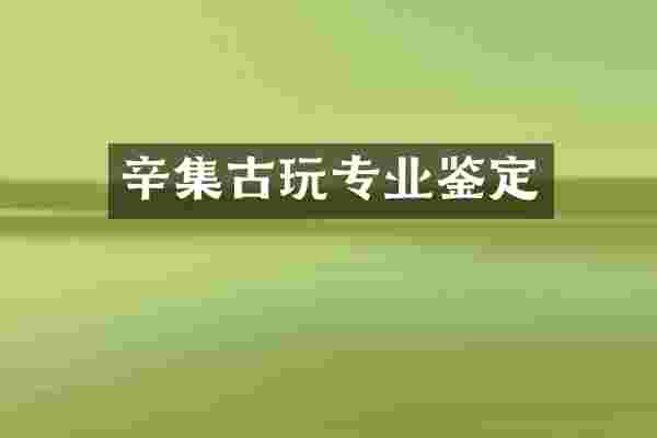 辛集古玩专业鉴定