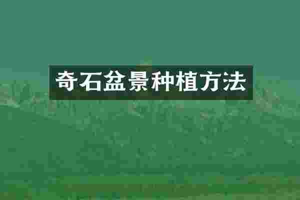 奇石盆景种植方法